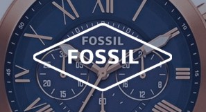 Fossil