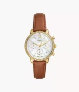 Fossil Neutra Ni karra