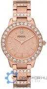 Fossil Jesse Ni karra