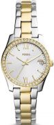 Fossil Scarlette Ni karra