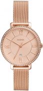 Fossil Jacqueline Ni karra
